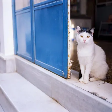 Picturesque Santorini 1 Bedroom Beautifully Decorated Secluded 别墅 *