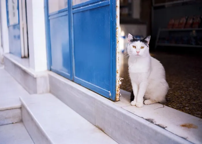 Villa Finikia Santorini Oia