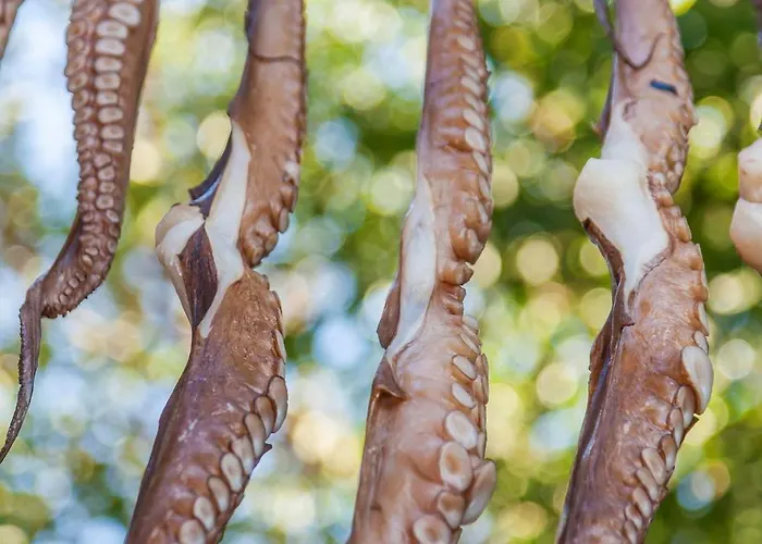 Finikia Santorini 别墅 *